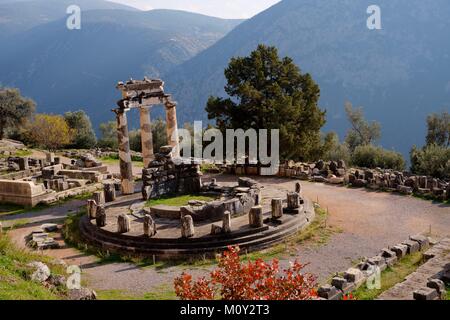 Delphi sito archeologico, mercato romano Foto Stock