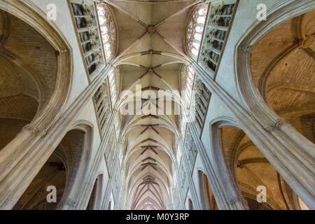 Francia,Pirenei Atlantiques,Pays Basque,Bayonne,interno di Sainte Marie de Bayonne cattedrale in stile gotico,la volta della navata centrale Foto Stock