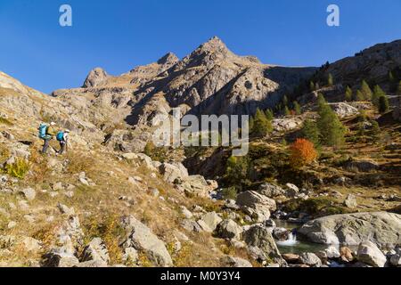 Francia,Alpes-Maritimes,il Parco Nazionale del Mercantour,Gordolasque Valley,coppia in pensione ammirando i colori autunnali Foto Stock