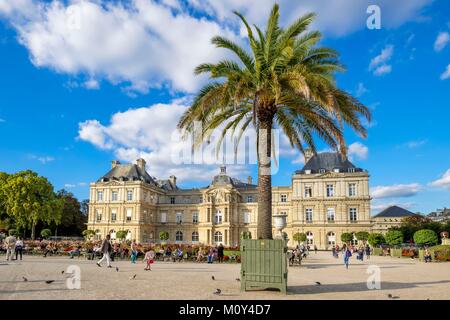 Francia,Parigi,quartiere Odeon,giardino Luxembourg,giardino pubblico creato nel 1612 da Marie de Medicis,il Palazzo del Lussemburgo è la sede del Senato francese Foto Stock