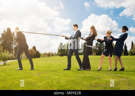 Un gruppo di persone di affari tirando una fune in direzione opposta al Park Foto Stock