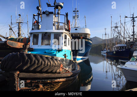 Rimorchiatore e barche da pesca Ucluelet Harbour, l'isola di Vancouver, British Columbia, Canada. Foto Stock