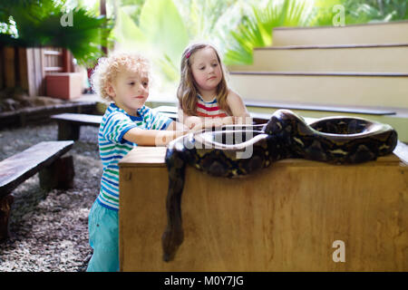 Un ragazzo e una ragazza in attesa e alimentare un enorme serpente python al giorno di viaggio per lo zoo. Preschooler kid guardando gli animali selvatici nel terrarium. Bambino azienda serpenti. Selvatica Foto Stock