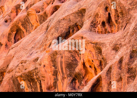 Erosi in modo univoco il formaggio svizzero nicchie nella roccia rossa linea formazioni canyon lungo sul Burr Trail in Grand Staircase-Eascalante monumento nazionale, Utah Foto Stock