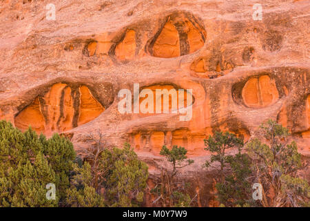 Erosi in modo univoco il formaggio svizzero di roccia rossa linea formazioni canyon lungo sul Burr Trail in Grand Staircase-Eascalante monumento nazionale, Utah Foto Stock