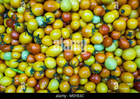 Pomodori colorati per la vendita al mercato in Puerto Princesa, PALAWAN FILIPPINE Foto Stock