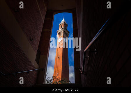 Joseph Chamberlain Memorial Clock Tower, "vecchio Joe", il più alto freestanding torre dell orologio nel mondo, presiede l'Università di Birmingham campus. Foto Stock