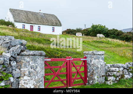 Tipica casa cottage con muro di pietra e recinto rosso sulle isole Aran, un gruppo di tre isole situate in corrispondenza della bocca della Baia di Galway Bay, a ovest di COA Foto Stock