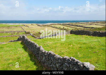 Tipico paesaggio agricolo con muri in pietra che delimitano i campi su Isole Aran, un gruppo di tre isole situate in corrispondenza della bocca della Baia di Galway su Foto Stock