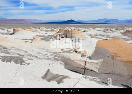 Moonscape del Campo de Piedra Pomez,Departamento Antofagasta de la Sierra,Catamarca,Argentina Foto Stock