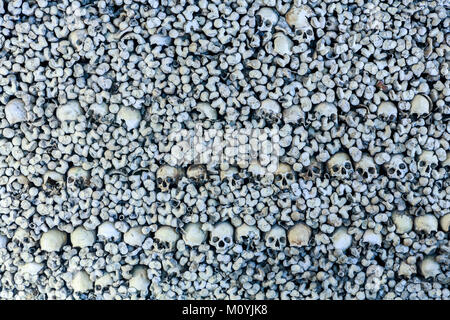 Teschi e le ossa nella parete della Cappella delle Ossa nella chiesa di San Francesco a Evora, Alentejo, Portogallo Foto Stock