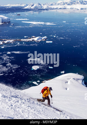 Alpine sci telemark sci alpinista in discesa in Antartide; Nansen Isola Foto Stock