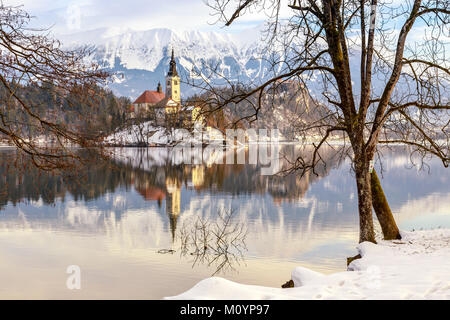 Il lago di Bled con San Marys chiesa dell Assunzione sulla piccola isola; Bled, Slovenia, l'Europa. Foto Stock