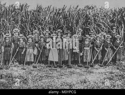 Giapponesi immigrati lavoratori sul campo di canna da zucchero nelle Hawaii c 1885. Foto Stock