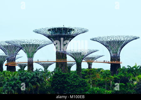 Super giardini di alberi dalla baia di Singapore Foto Stock