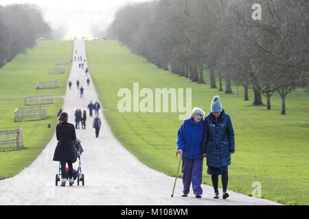 Windsor, Regno Unito. Il 25 gennaio 2018. Turisti e residenti locali godetevi il sole sulla lunga passeggiata in Windsor Great Park. Credito: Mark Kerrison/Alamy Live News Foto Stock