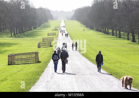 Windsor, Regno Unito. Il 25 gennaio 2018. Turisti e residenti locali godetevi il sole sulla lunga passeggiata in Windsor Great Park. Credito: Mark Kerrison/Alamy Live News Foto Stock