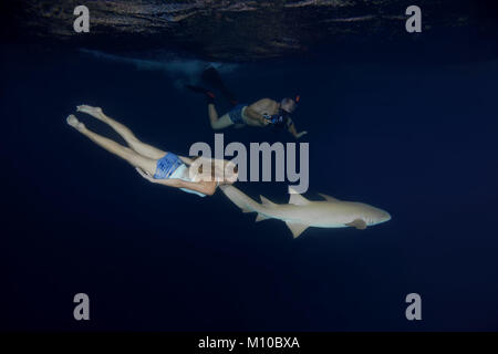 Oceano Indiano, Maldive. 5 Sep, 2017. Fotografo subacqueo assume un modello con Bruno di squalo nutrice Credito: Andrey Nekrasov/ZUMA filo/ZUMAPRESS.com/Alamy Live News Foto Stock