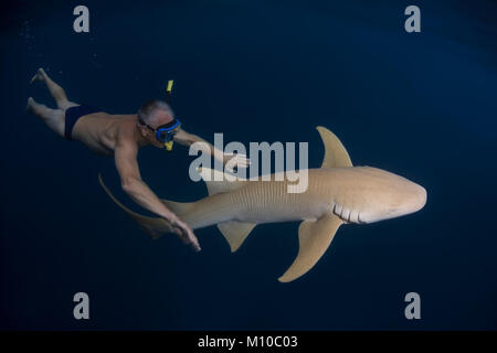 Oceano Indiano, Maldive. 6 Sep, 2017. l uomo nuota di notte con la shark - Bruno squalo nutrice Credito: Andrey Nekrasov/ZUMA filo/ZUMAPRESS.com/Alamy Live News Foto Stock