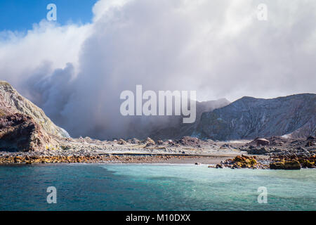 Isola Bianca vulcano attivo, Nuova Zelanda Foto Stock