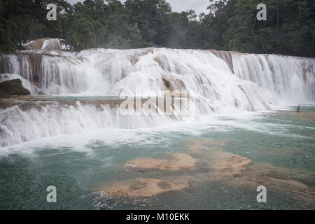 Agua Azul Falls Cascate, Palenque, Messico Foto Stock