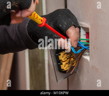 Un elettricista maschio indossando guanti senza dita si collega un raccordo elettrico in una scatola a parete con un cacciavite. Foto Stock