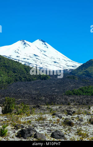 Conguillio National Park (Cile): vulcano Llaima Foto Stock
