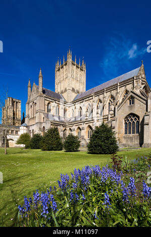 Wells Somerset in Inghilterra il 4 maggio 2016 La Cattedrale Foto Stock