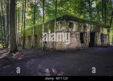 Rovine di Wolf's Lair - il quartier generale di Adolf Hitler e i nazisti comando supremo delle Forze Armate in WW2 vicino al villaggio di Gierloz, Polonia Foto Stock