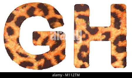 Leopard fur G e H le lettere isolate su sfondo bianco Foto Stock