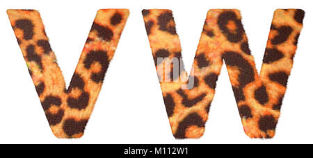 Leopard fur V e W lettere isolate su sfondo bianco Foto Stock