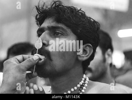 SINGAPORE 2015: devoti indù ottenere trafitto nella loro bocca con un ago e portare il latte pentola per signore Muruga durante l'annuale festival indù Thaipusam Foto Stock