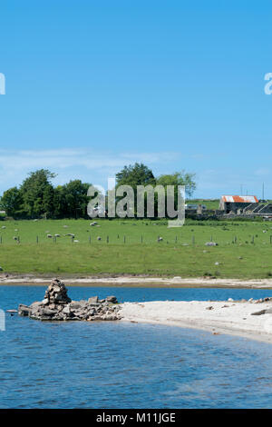 Lago Colliford ( Reservoir ) Nr Bolventor, Cornwall, Inghilterra, Regno Unito in giugno Foto Stock