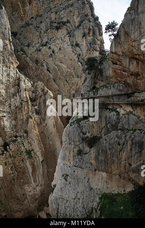 Camino o Il Caminito del Rey.un percorso escursionistico o boardwalk lungo la gola a El Chorro Málaga Spagna.2,9 km di distanza. Foto Stock