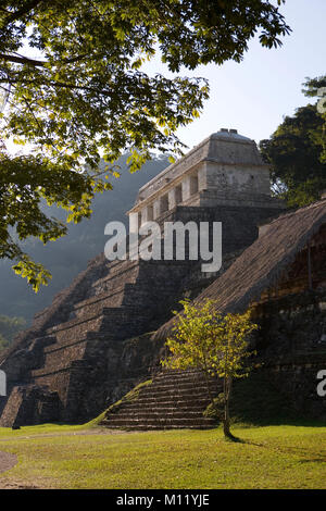 Messico. In Chiapas. Palenque. Rovine Maya. Tempio maya di iscrizioni. Foto Stock
