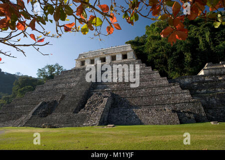 Messico. In Chiapas. Palenque. Rovine Maya. Tempio maya di iscrizioni. Foto Stock