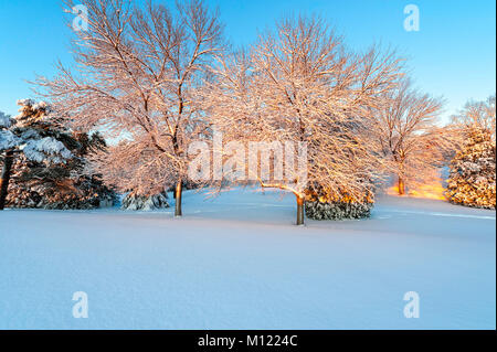 Questa foto è stata scattata a Alba in Bell Park,Sudbury, Ontaio, la mattina di natale dopo una nevicata fresca Foto Stock