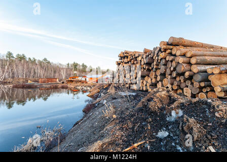 Logs impilati e in attesa di essere tagliato in legname in una segheria di Alban, Ontario Foto Stock