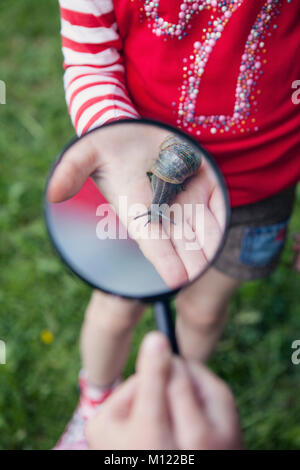 I bambini guardando comune giardino marrone lumaca attraverso una lente di ingrandimento Foto Stock