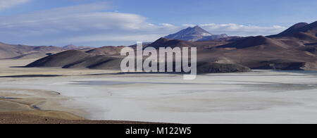 Laguna Santa Rosa con il vulcano Nevado Ojos del Salado,Parco Nazionale Nevado Tres Cruces,Región de Atacama, Cile Foto Stock