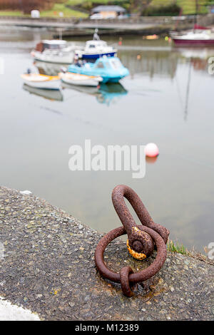 Anello e grillo sul molo del porto di Cemaes Foto Stock