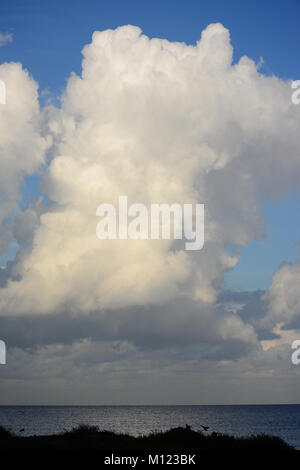 Gigante, nuvola bianca Foto Stock