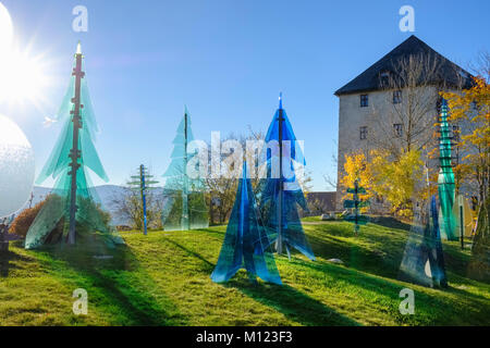 Foresta di vetro,Weissenstein castello vicino Regen,Foresta Bavarese,Bassa Baviera, Baviera, Germania Foto Stock