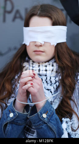 I membri dell'Irlanda Palestina Campagna di Solidarietà e membri delle case dell'Oireachtas prendere parte a una protesta al di fuori di Leinster House a Dublino, per chiedere il rilascio di 16-anno-vecchio Ahed Tamimi dal carcere in Israele. Foto Stock