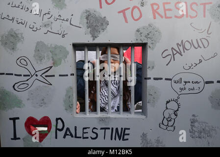 I membri dell'Irlanda Palestina Campagna di Solidarietà e membri delle case dell'Oireachtas prendere parte a una protesta al di fuori di Leinster House a Dublino, per chiedere il rilascio di 16-anno-vecchio Ahed Tamimi dal carcere in Israele. Foto Stock