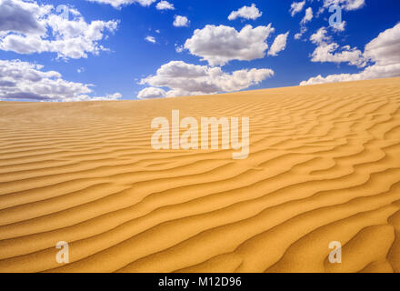 Il grande Sandhills, vicino scettro, Saskatchewan, Canada. Foto Stock