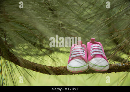 Coppia rosa, sneaker Scarpe bimbi, in un ramo, concetto natura sfondo Foto Stock