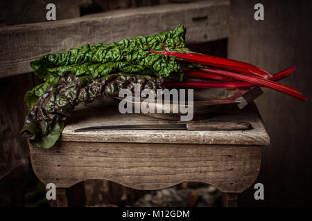 Bieta foglie - foglie di barbabietola vegetale - Foto Stock