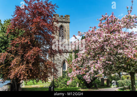 Primavera sbocciano i fiori e il campanile della chiesa. Alberi con rosa e rosso fiore con una chiesa e torre Belfry. Foto Stock