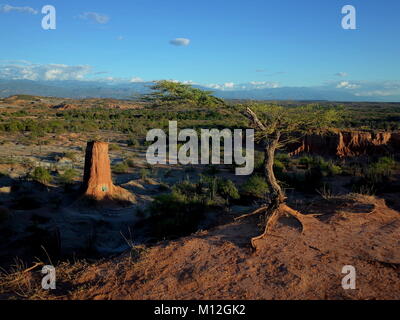 Il paesaggio marziano di Cuzco, il Deserto Rosso, parte della Colombia Tatacoa Desert. La zona è un'antica foresta secca e una popolare destinazione turistica Foto Stock